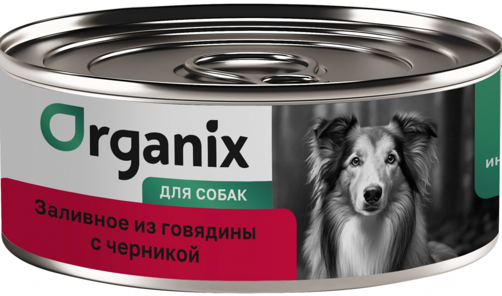 Консервы Organix  для собак Говядина с черникой для собак 100 г: ПАШТЕТ