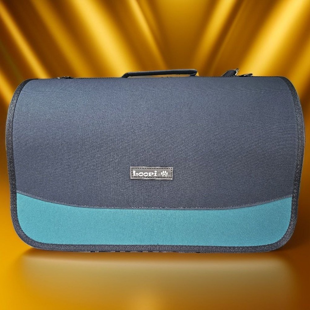 Сумка-переноска Loori Акварель бирюза для животных 46*28*29