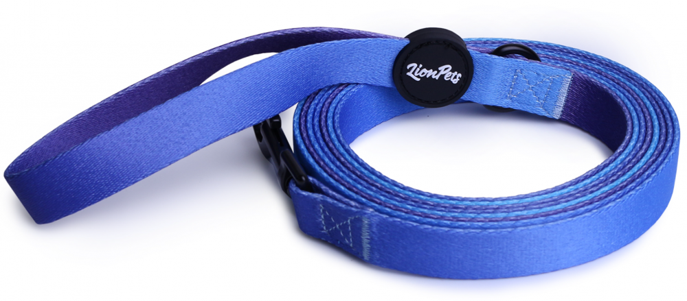 Поводок для собак LionPets с рисунком из полиэстера LP-700-6 (3XL-Ширина 2.5 см, длина 5 метров)