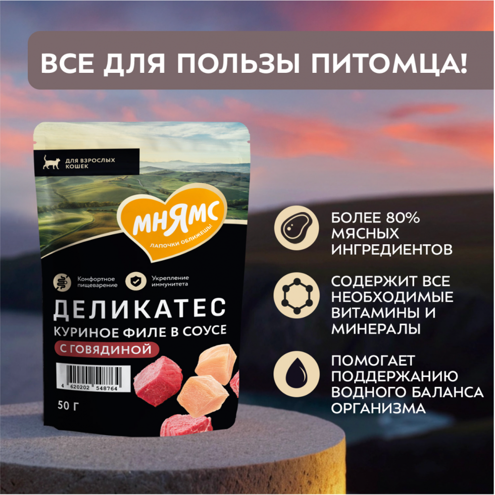 Паучи Мнямс Деликатес Куриное филе с говядиной для кошек 50 г: СОУС