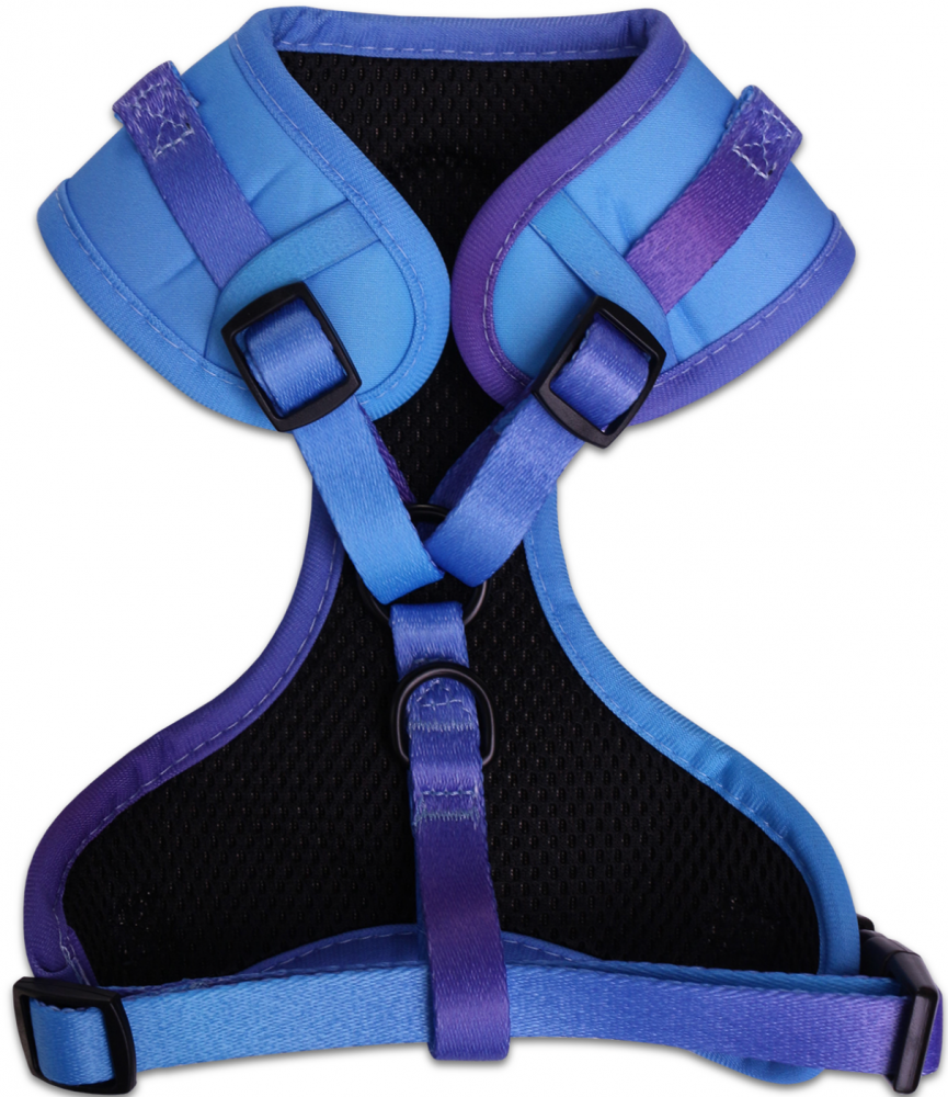 Шлейка LionPets LP-2401-6 (Размер S обхват груди 40-55 см, шея 35-44 см)