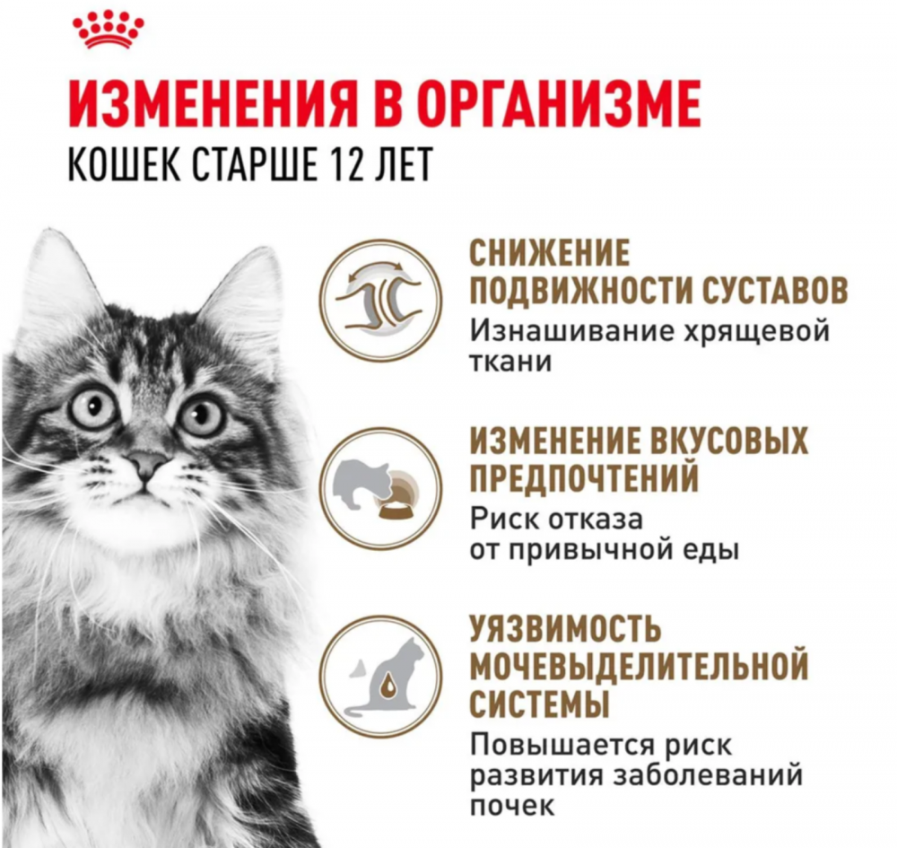 Влажный корм для кошек Royal Canin Ageing +12 кусочки в соусе старше 12 лет 85 г