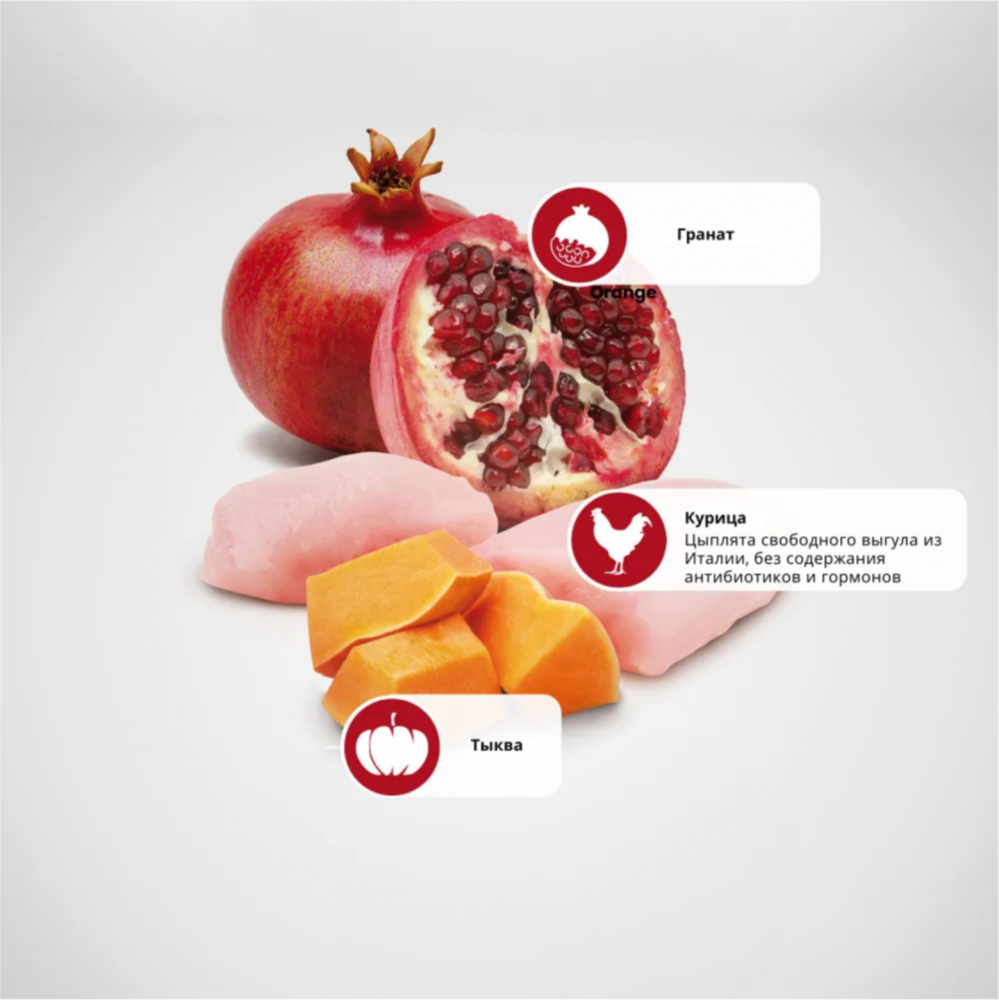 Корм Farmina N&D Dog (Беззерновой) для собак средних и крупных пород, курица, гранат и тыква 12 кг