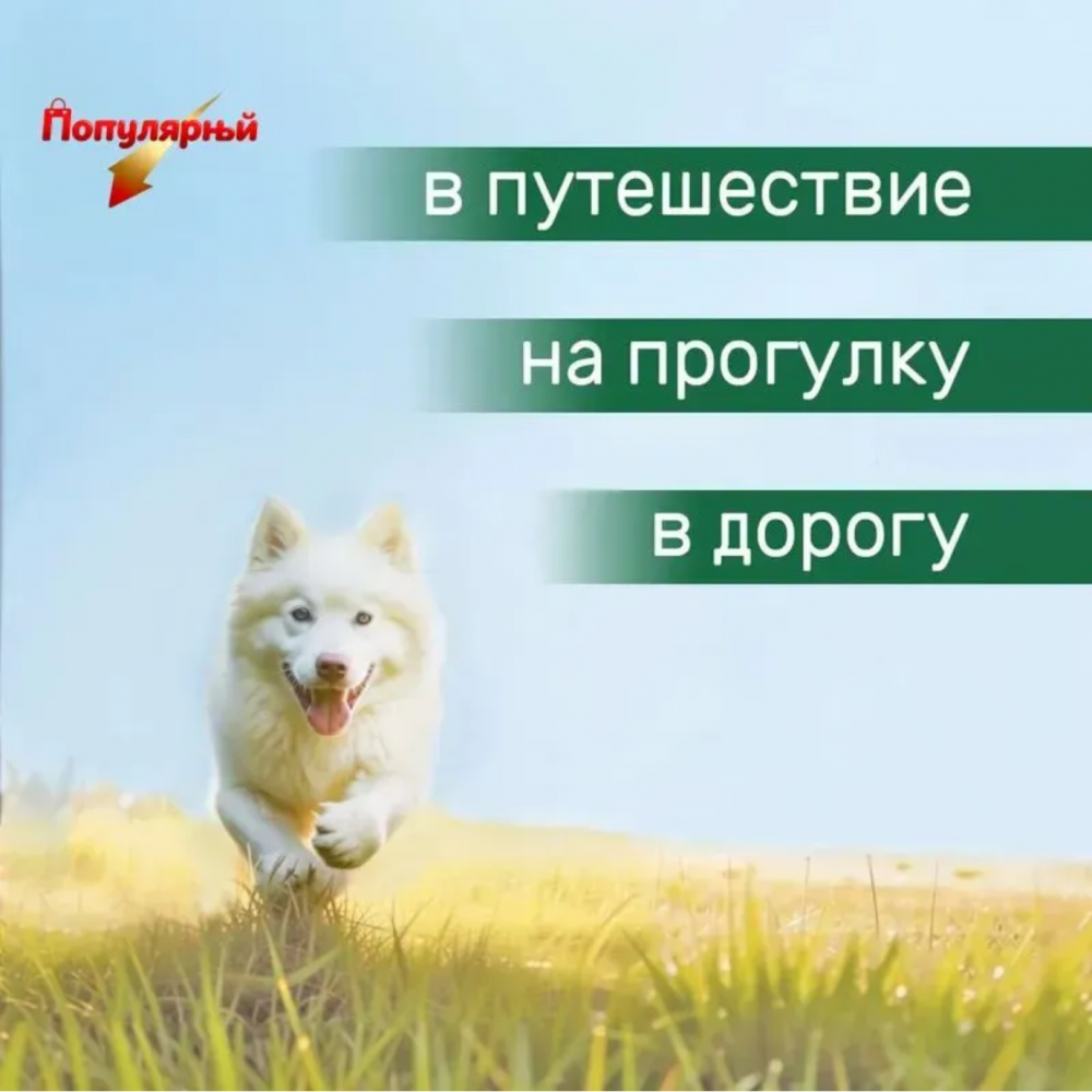 Поилка для собак 2 в 1 с кормушкой прогулочная дорожная 1000 мл, бутылка для собак
