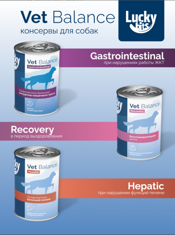 Консервы для собак Lucky bits Recovery в период анорексии, выздоровления, 340 г
