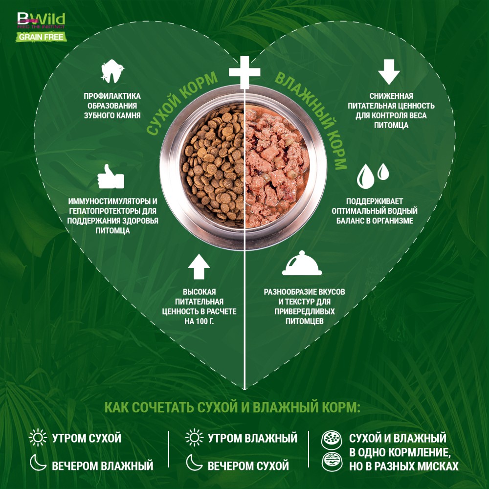 Консервы для собак Monge Dog BWild Grainfree ADULT из лосося с тыквой и кабачками для всех пород 400г