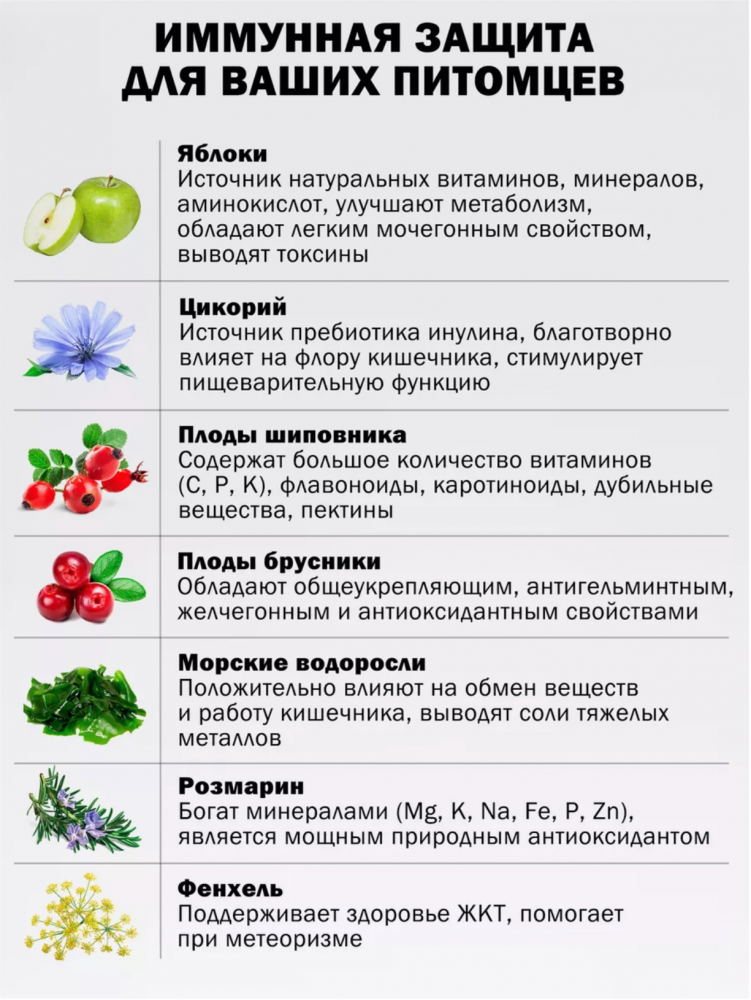 Корм Зооринг МАКС ИНДЕЙКА с глюкозамином и хондроитином для кошек
