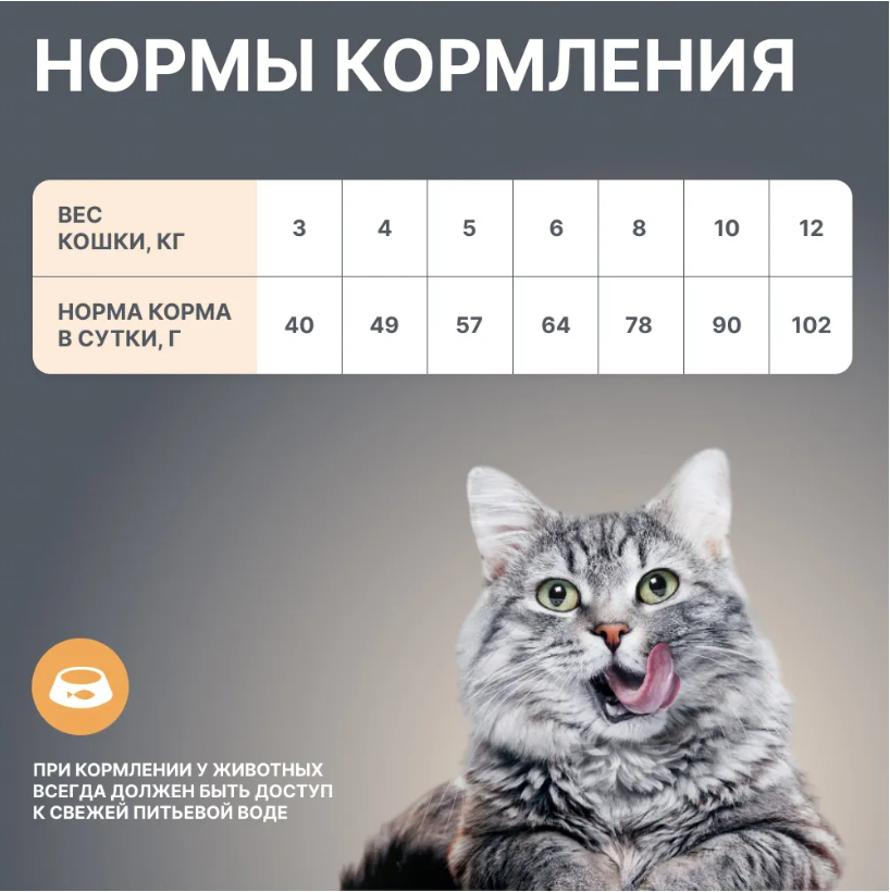 Корм BOWL WOW с чувствительным пищеварением с индейкой и тыквой для кошек.