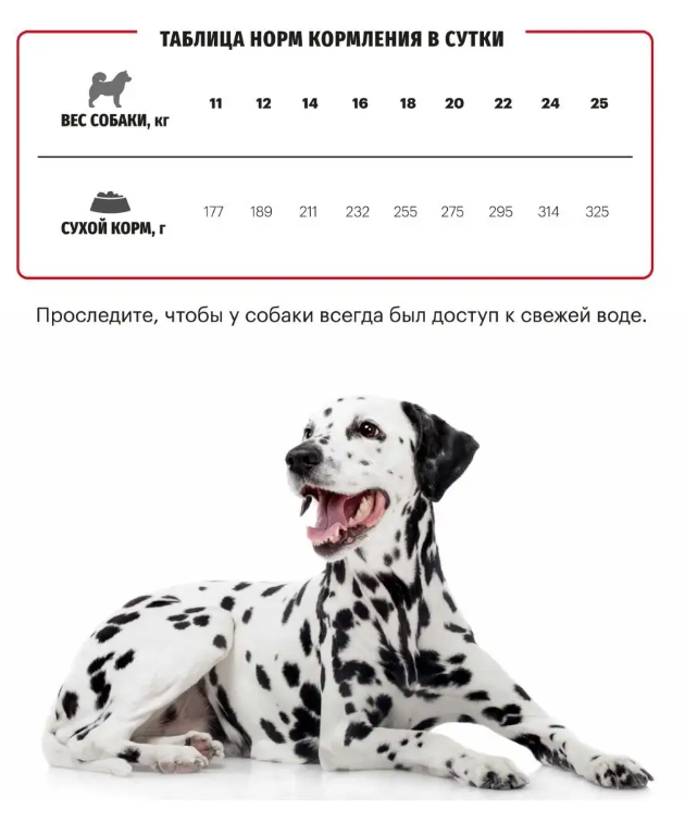 Корм Karmy MEDIUM  ADULT -Телятина. Корм для взрослых собак средних пород